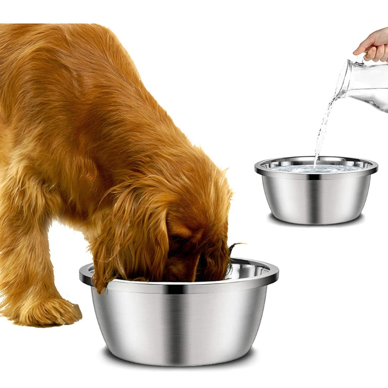 Royal Canin Food Medium - Stainless Steel Dog Feeders 20cm 24cm