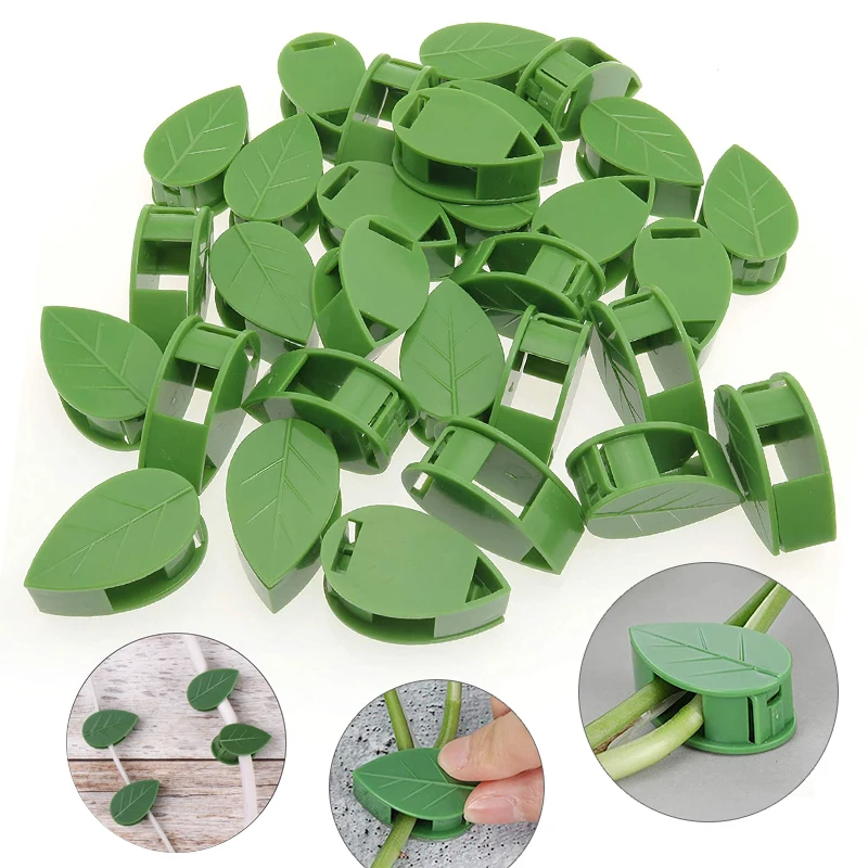 1-50Pcs invisible plant wall c - đánh giá và giá Vine Climbing Plastic