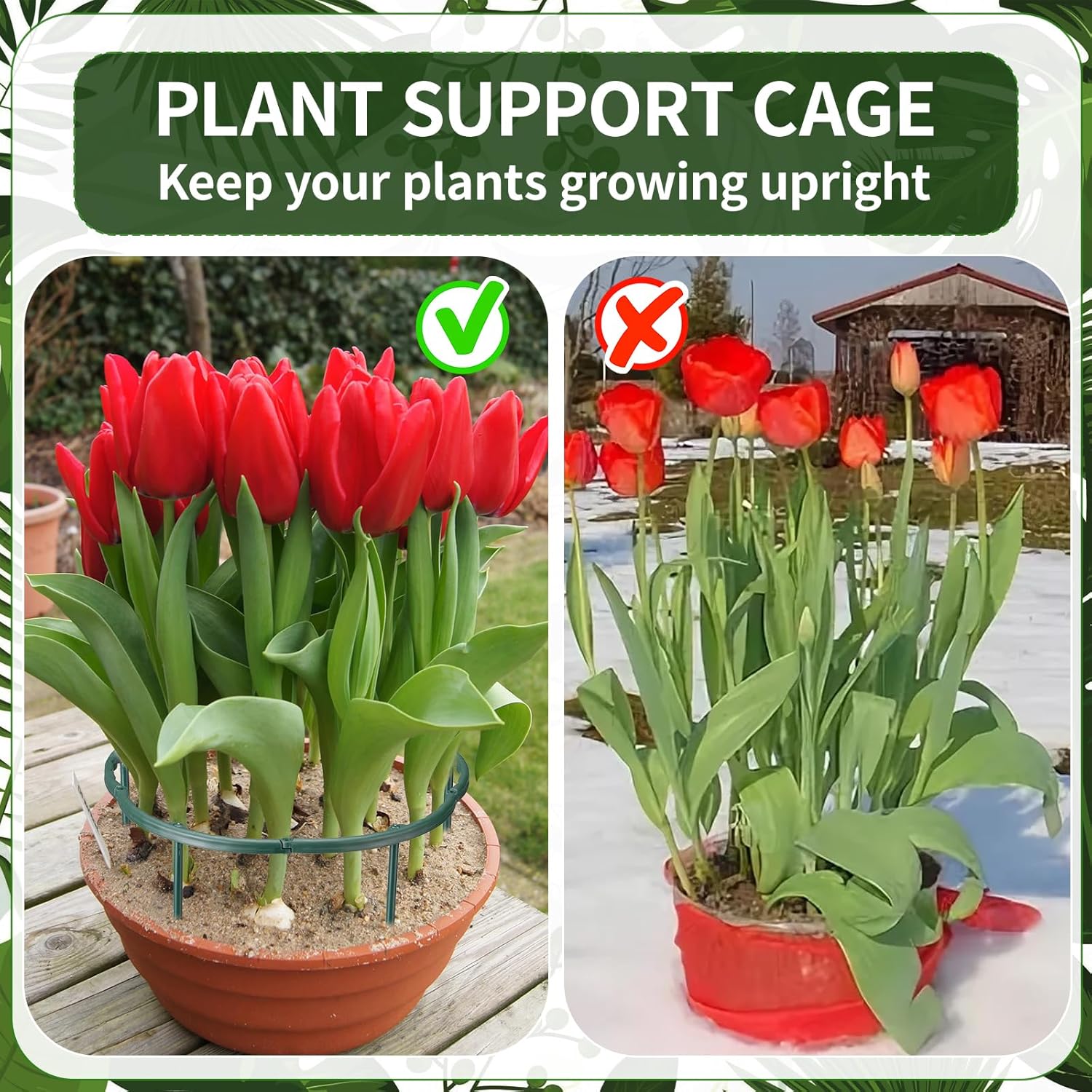 1/16pcs Plant Support Stake Fl - đánh giá và giá Vine Climbing Plastic