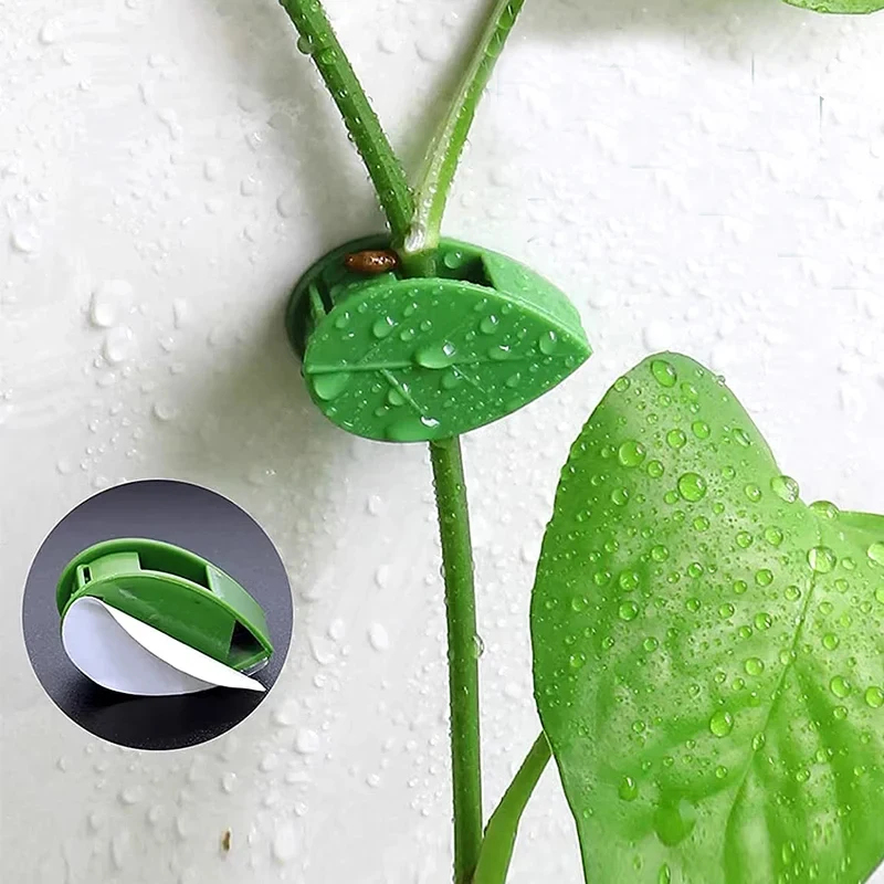 10-90pcs Plant Fixing Clip Sel - đánh giá và giá Vine Climbing Plastic