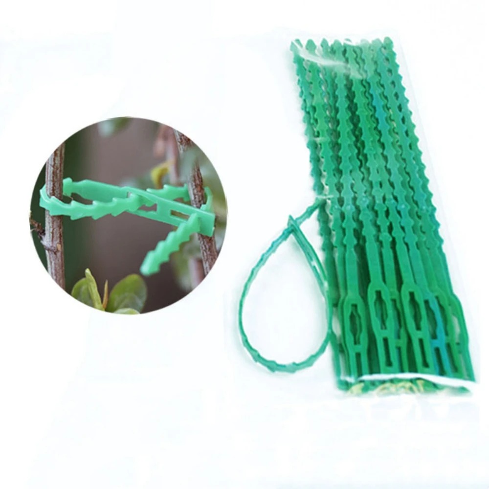 50pcs Adjustable Plastic Plant - đánh giá và giá Vine Climbing Plastic
