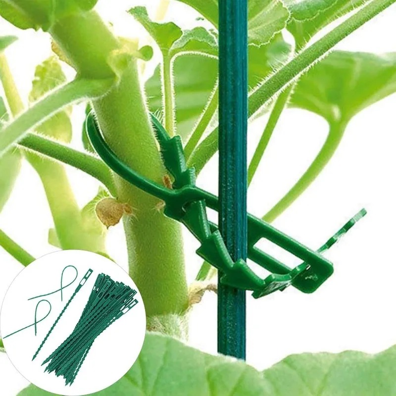Wholesale Reusable Plant Fixed - đánh giá và giá Vine Climbing Plastic