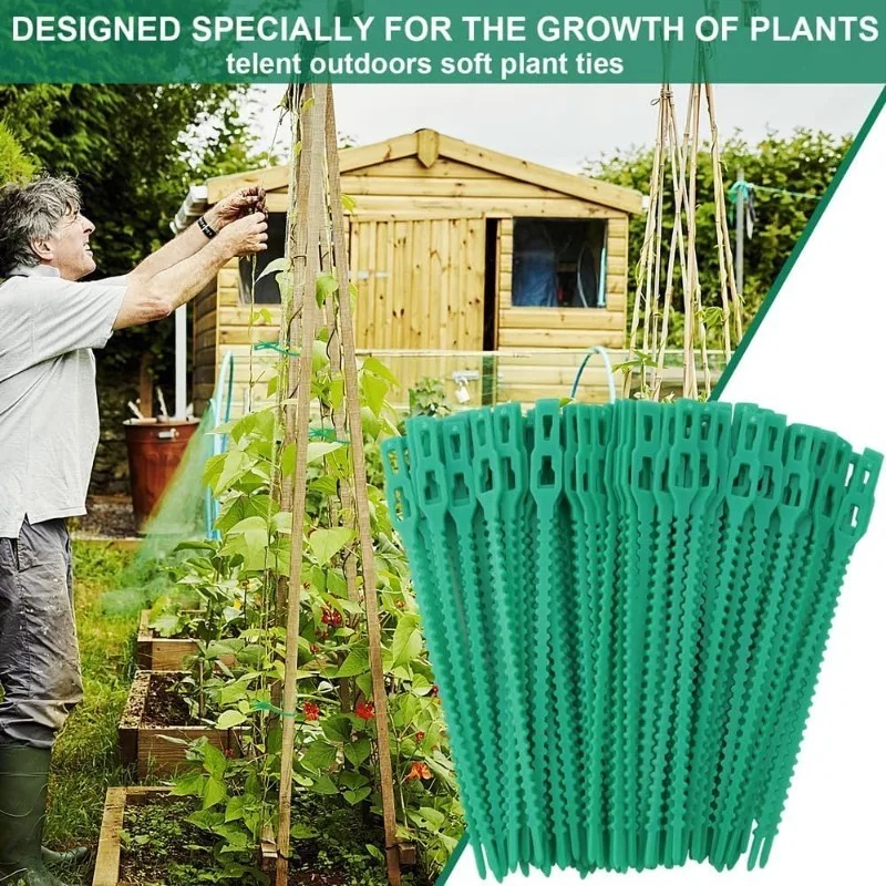 Wholesale Reusable Plant Fixed - đánh giá và giá Vine Climbing Plastic