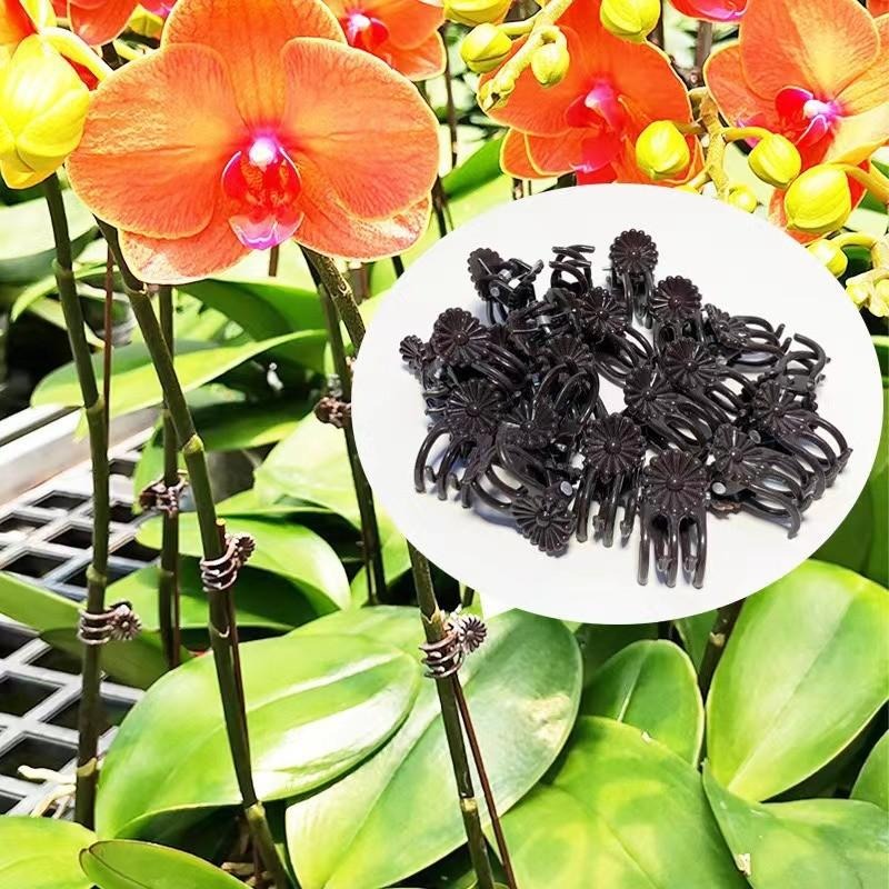 Wholesale Mini Plant Support C - đánh giá và giá Vine Climbing Plastic