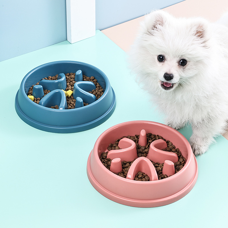 Healthy Dog Slow Feeder Bowl A - đánh giá và giá Royal Canin Food Medium