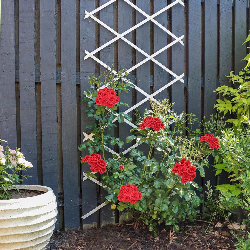 Expandable Garden Trellis 70 x - đánh giá và giá Vine Climbing Plastic