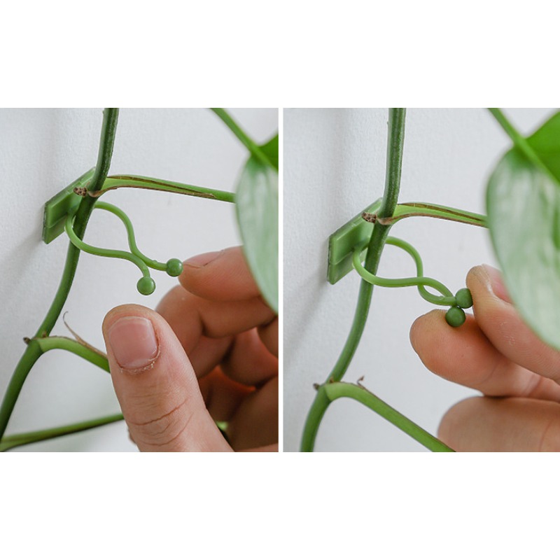 10Pcs Plant Wall Fixing Hooks  - đánh giá và giá Vine Climbing Plastic