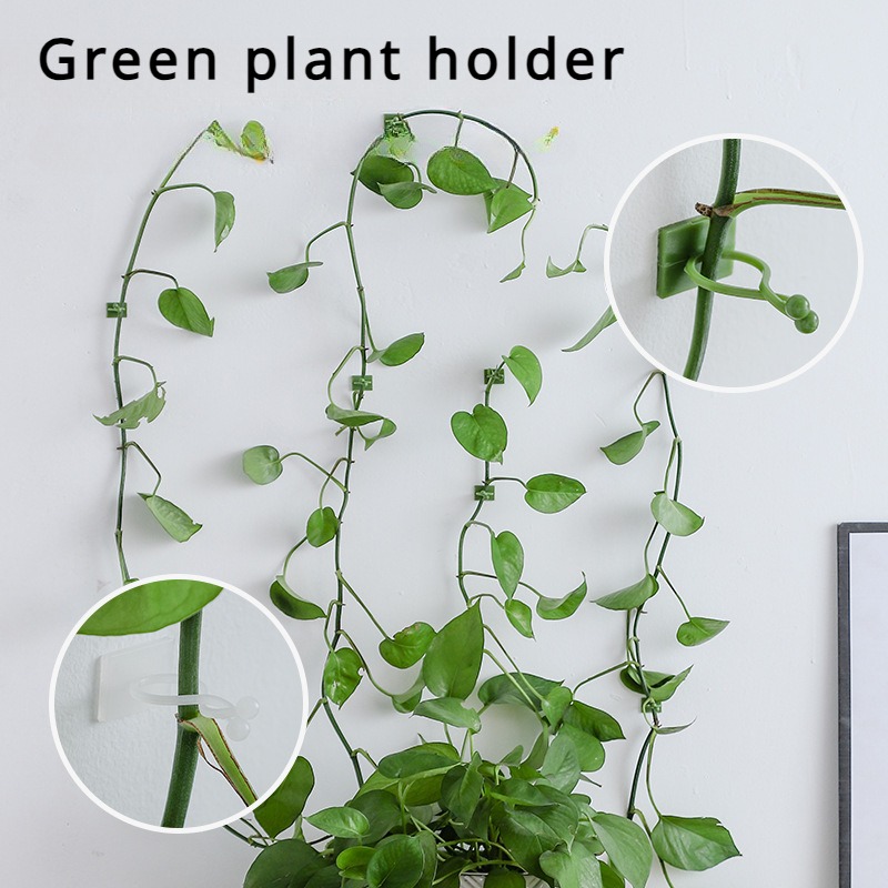 10Pcs Plant Wall Fixing Hooks  - đánh giá và giá Vine Climbing Plastic