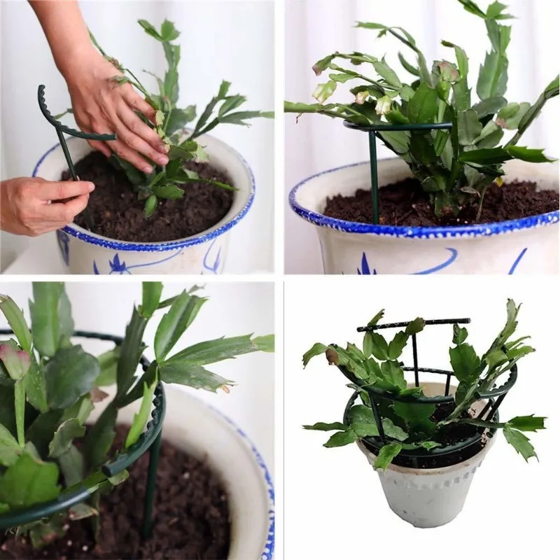 1-9set Plastic Plant Support P - đánh giá và giá Vine Climbing Plastic