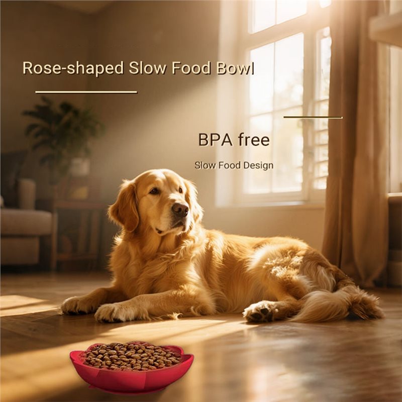 A11E-Pet Supplies Silicone Slo - đánh giá và giá Royal Canin Food Medium