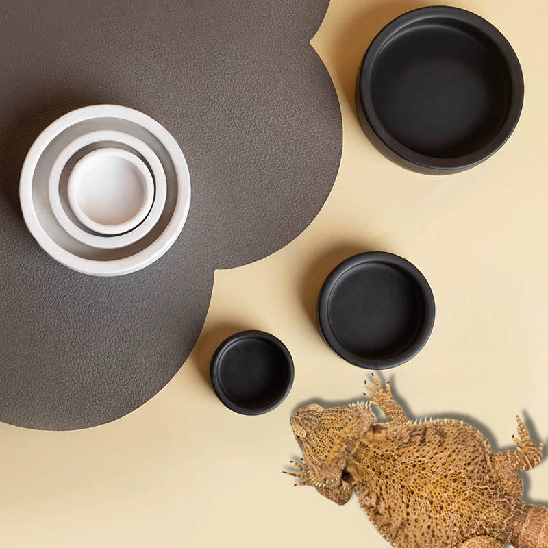 HOT! Reptile Food Bowl Anti-Es - đánh giá và giá Water Dish Reptile