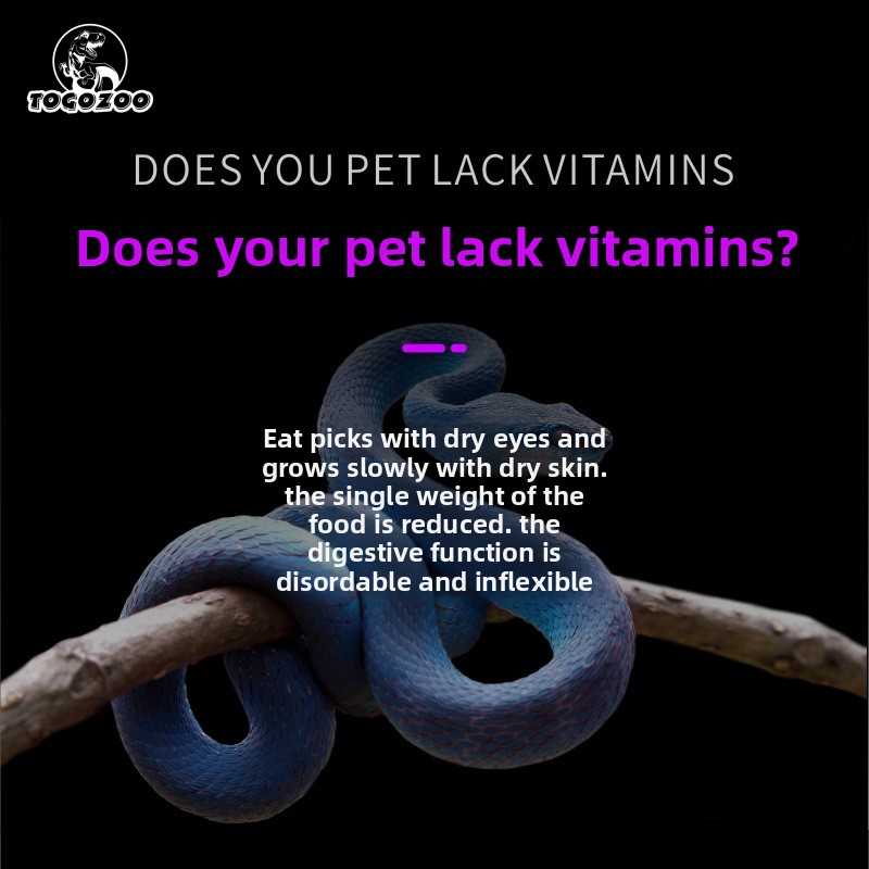 TOGOZOO WILD-VIT Reptile Calci - đánh giá và giá Calcium Powder Reptile