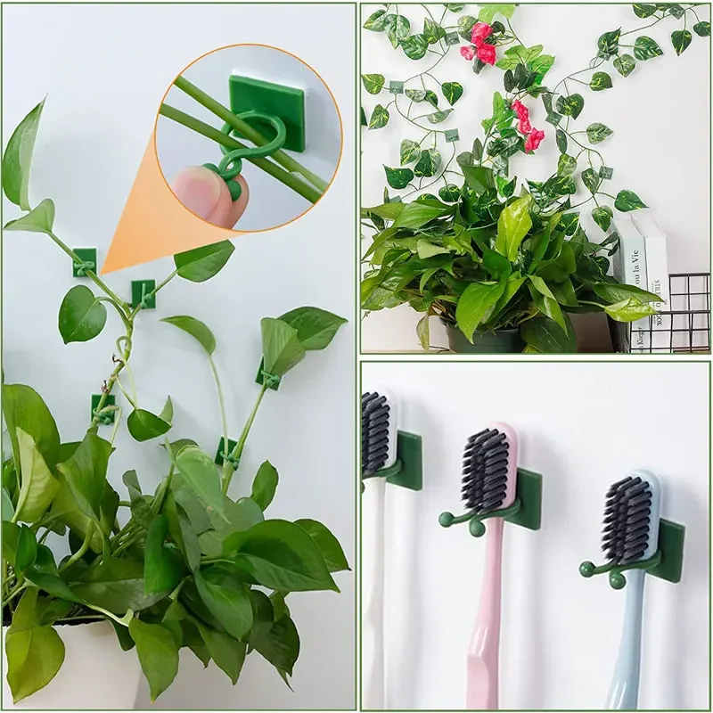 1/30/50Pcs For Garden Accsesor - đánh giá và giá Vine Climbing Plastic