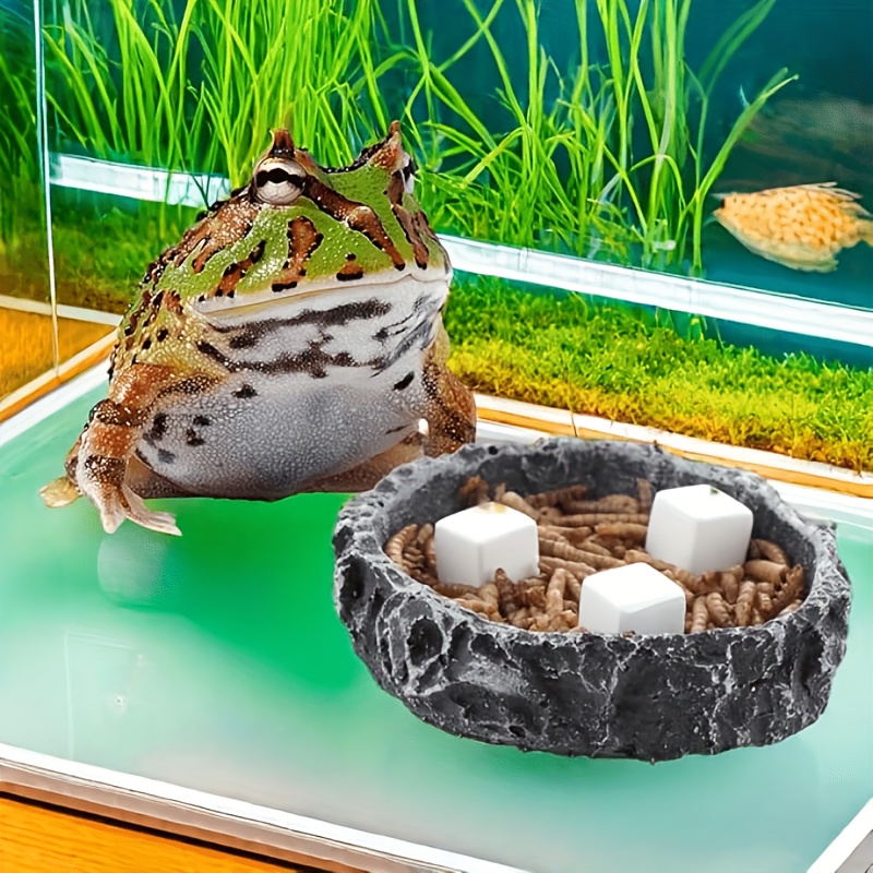 6Pcs Fish Tank Calcium Block M - đánh giá và giá Calcium Powder Reptile