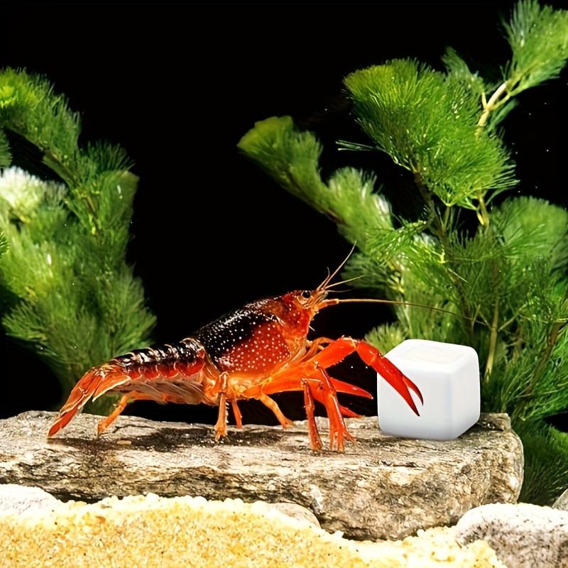 6Pcs Fish Tank Calcium Block M - đánh giá và giá Calcium Powder Reptile