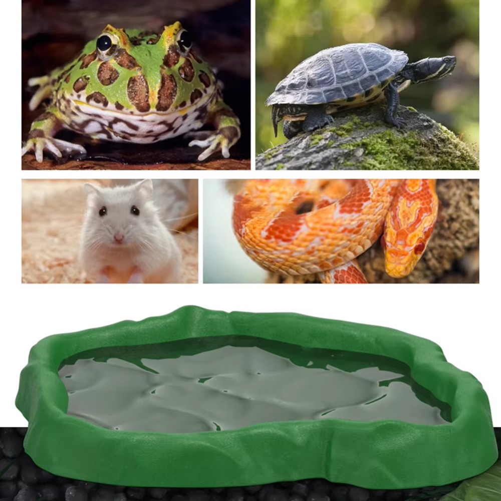 ABS Resin Reptile Feeder Bowl  - đánh giá và giá Water Dish Reptile