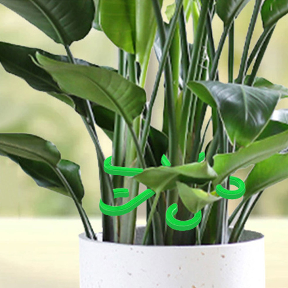 12Pcs Plant Stem Holders Plast - đánh giá và giá Vine Climbing Plastic