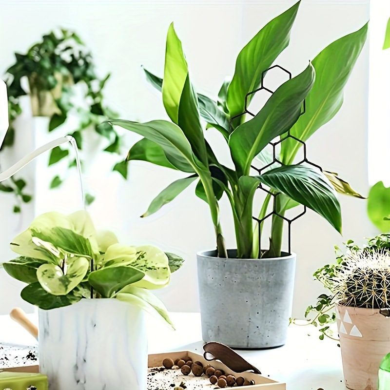 1PC Honeycomb Design Plant Tre - đánh giá và giá Vine Climbing Plastic