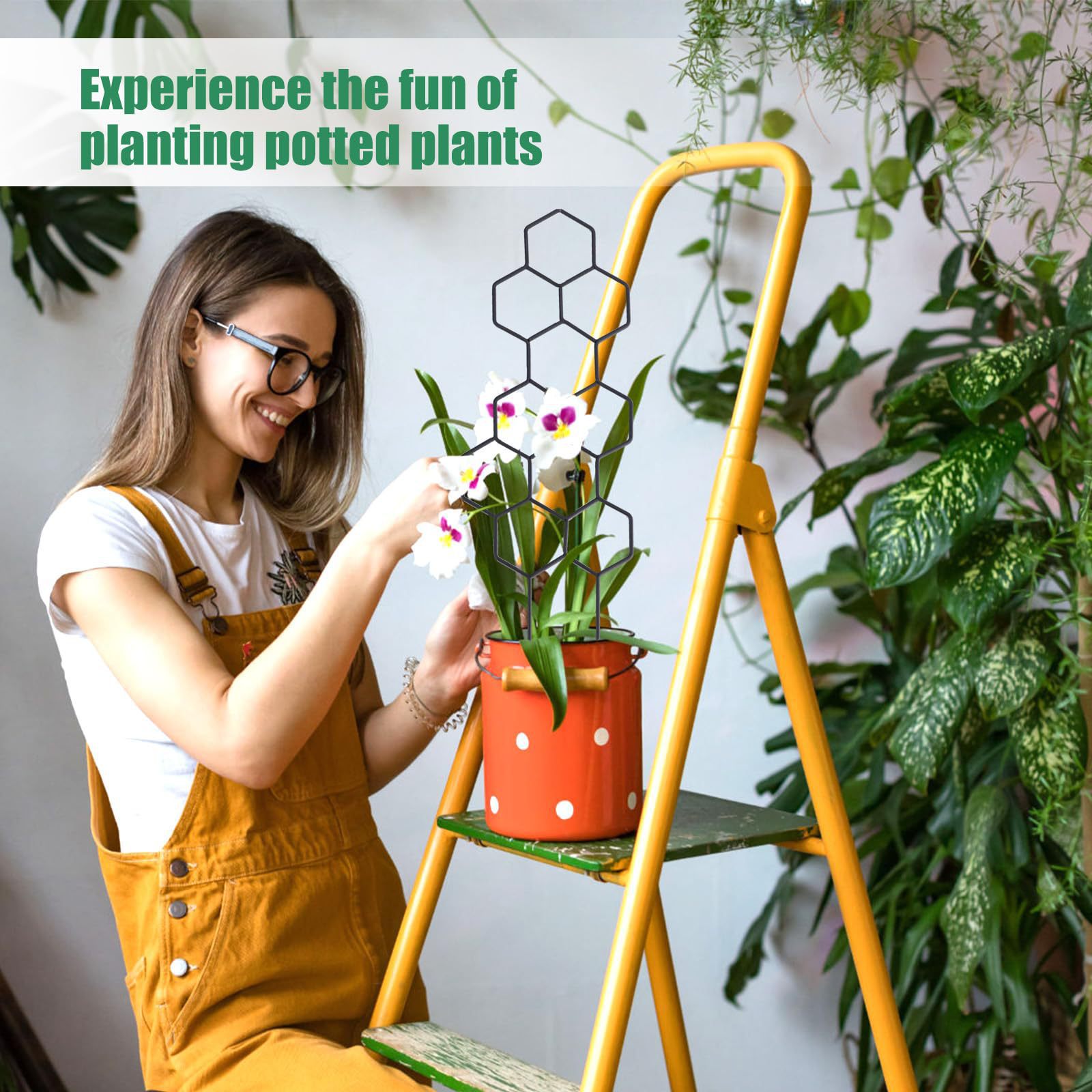 1PC Honeycomb Design Plant Tre - đánh giá và giá Vine Climbing Plastic