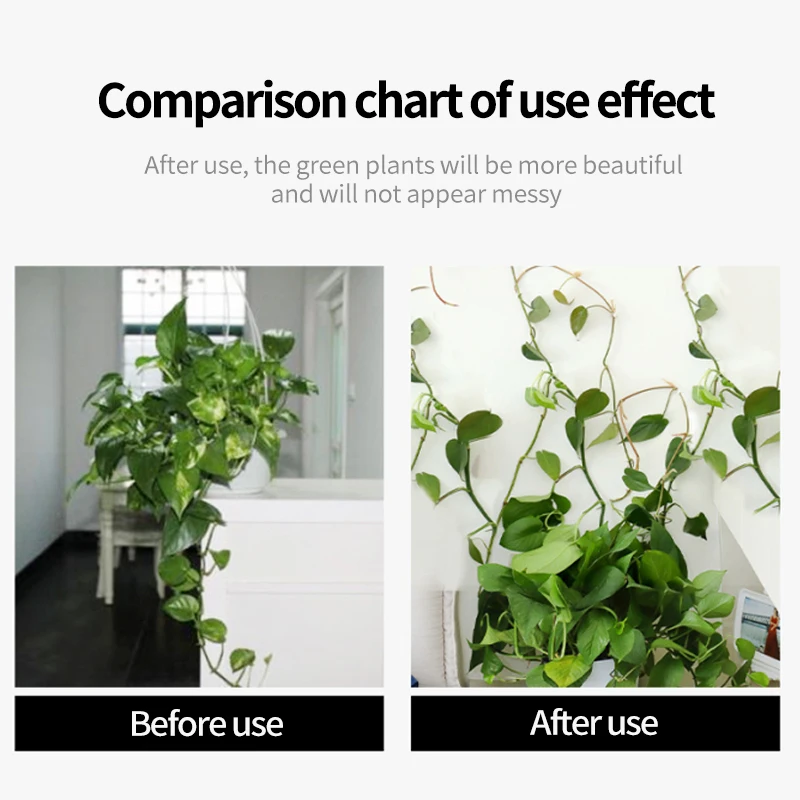 Plant Climbing Wall Self-Adhes - đánh giá và giá Vine Climbing Plastic